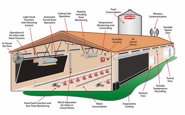 Poultry farm house - Feasibility study on poultry farming