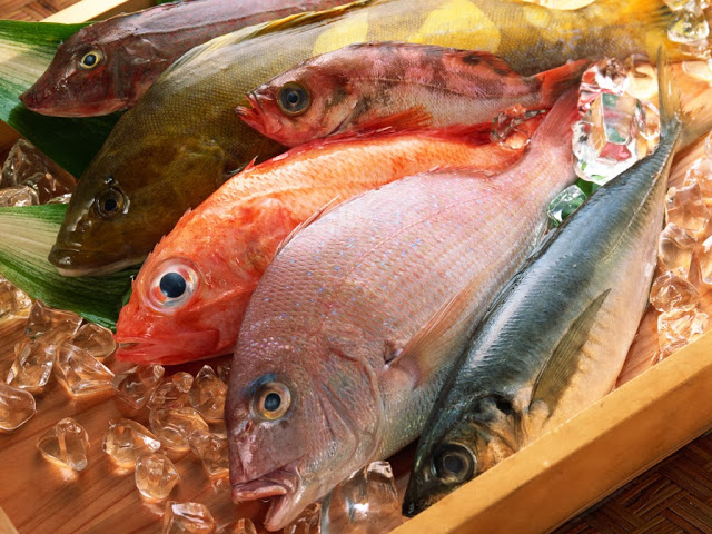 Seafood wholesale business plan