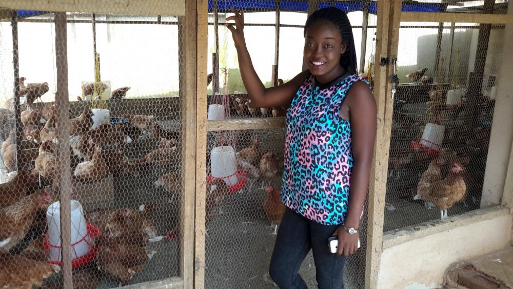 Small Poultry Farm Business